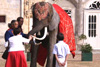 location_mariage_elephant